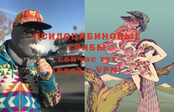 таблы Заводоуковск