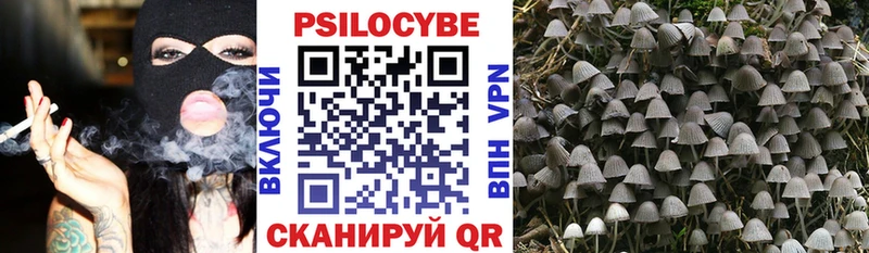 Галлюциногенные грибы Psilocybine cubensis  Славгород 