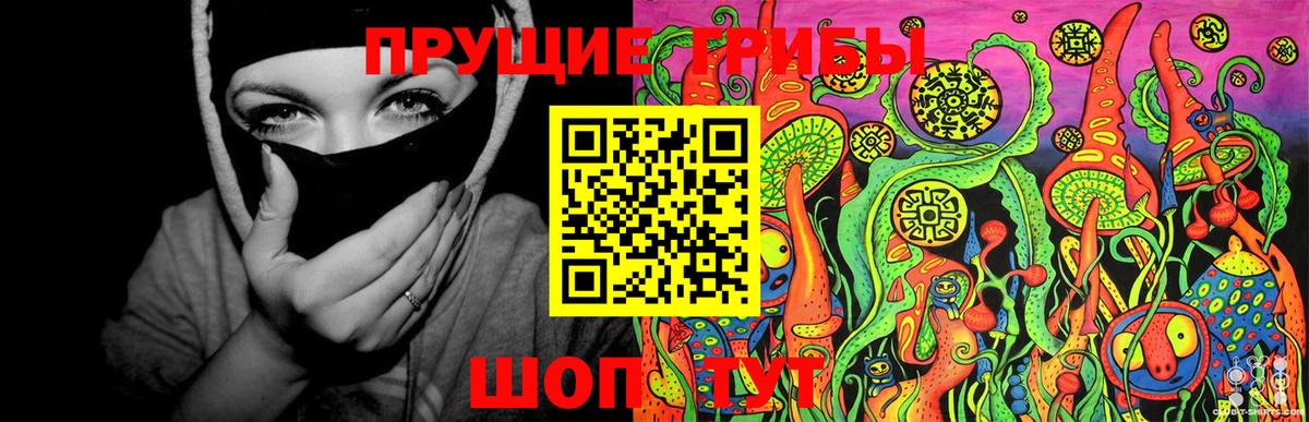 Славгород  Галлюциногенные грибы Magic Shrooms  Вход с VPN 